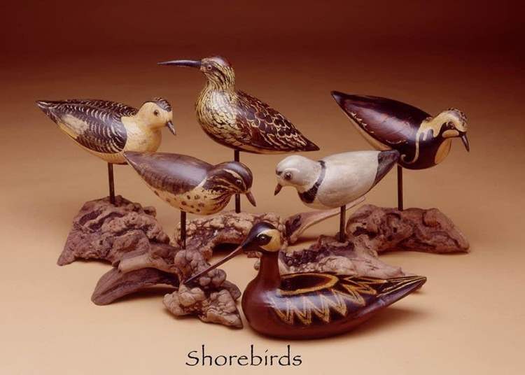 shorebirds2020