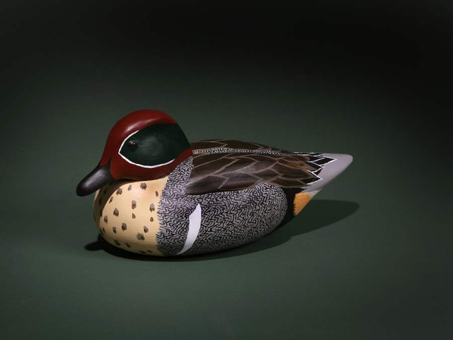 Baikal Teal