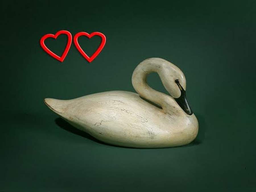 Mother's Day Swan