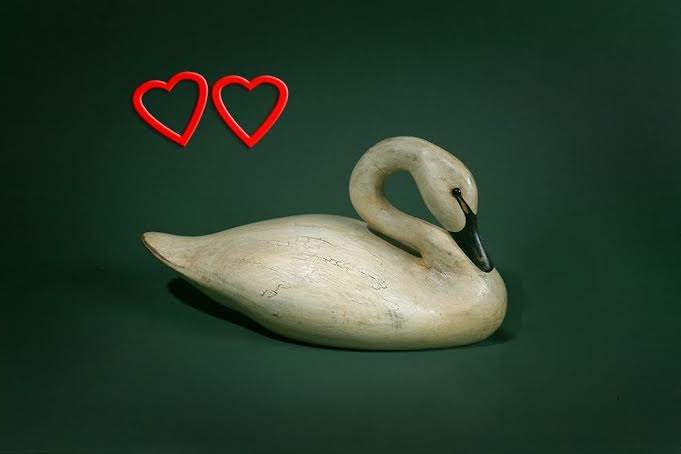 Mother's Day Swan