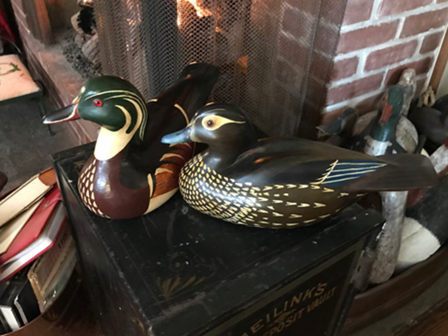 Male and Female Woodducks