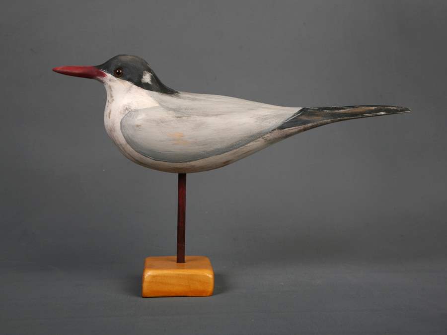 Tern