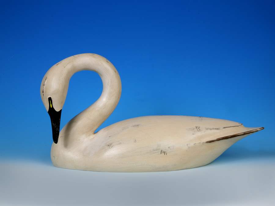 Full Size Swan